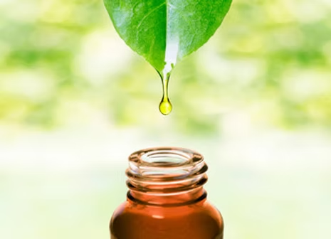 Blending for Beginners: A Closer Look at Essential Oils & How to Use Them