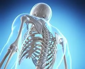 NURTURING BONE & JOINT HEALTH