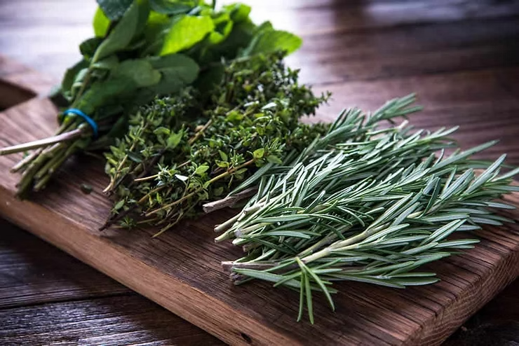 FREE Blending Class: The Power of Herbs